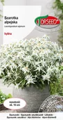 Nasiona i cebule - Nasiona Szarotka alpejska srebrzysto - Torseed - miniaturka - grafika 1