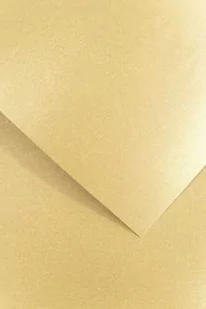Karton ozdobny Argo Millenium złoty A4 120g 50 arkuszy - Pudła i kartony archiwizacyjne - miniaturka - grafika 1