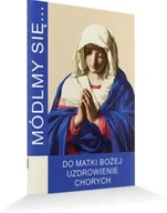 Religia i religioznawstwo - Módlmy się do Matki Bożej Uzdrowienie Chorych - miniaturka - grafika 1