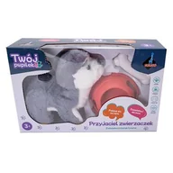 Zabawki interaktywne dla dzieci - Zabawka interaktywna ASKATO Twój pupilek Husky z akcesoriami 123325 - miniaturka - grafika 1