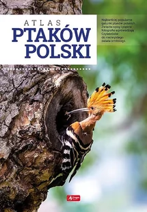 Atlas Ptaków Polski Anna Przybyłowicz,łukasz Przybyłowicz - Słowniki języków obcych - miniaturka - grafika 1