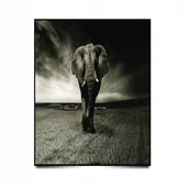 Puzzle - PUZZLE Pejzaż Krajobraz Afryka Słoń A3 252 el z Nadrukiem + IMIĘ Pudełko - miniaturka - grafika 1