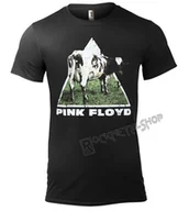 Koszulki męskie - koszulka PINK FLOYD - ATOM HEART-S - miniaturka - grafika 1
