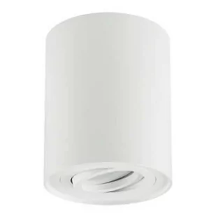 Ideus Spot LAMPA sufitowa HARY 03711 metalowa OPRAWA okrągła tuba downlight natynkowy biały 03711 - Lampy sufitowe - miniaturka - grafika 1