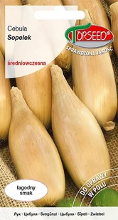 Nasiona Cebula Sopelek 2g - Torseed - Nasiona i cebule - miniaturka - grafika 1