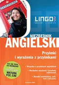 Pozostałe języki obce - Lingo Anna Treger Niezbędnik angielski Przyimki i wyrażenia z przyimkami - miniaturka - grafika 1