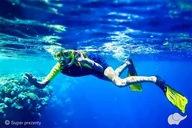 Vouchery - Bestdivers Nurkowanie dla dzieci - Komando Foki - miniaturka - grafika 1