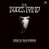 Soul - Long In The Tooth Budos Band The Płyta winylowa) - miniaturka - grafika 1