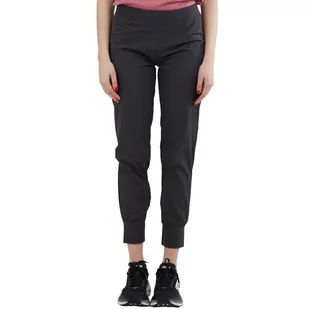 Sabana Active Pants Damskie spodnie dresowe - czarny - Spodnie narciarskie - miniaturka - grafika 1