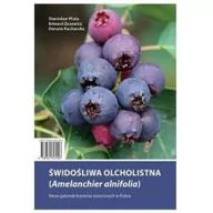 Rośliny i zwierzęta - Oficyna Wydawnicza Oikos Świdośliwa olcholistna HORTPRESS - miniaturka - grafika 1