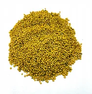 Przyprawy i zioła sypkie - GORCZYCA ŻÓŁTA SAREPSKA 1 KG 100% NATURALNY SKLEP - miniaturka - grafika 1