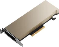 Karty graficzne - NVIDIA A2 16GB GDDR6 900-2G179-0020-100 - miniaturka - grafika 1