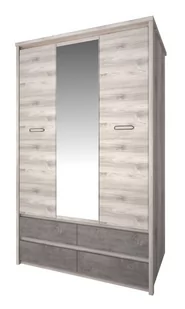 Szafa Jazz 3D4S Z Lustrem Kasztan Nairobi / Onyx - Szafy - miniaturka - grafika 1