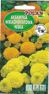 Nasiona i cebule - Aksamitka wielkokwiatowa niska mieszana 0.5 g POLAN - miniaturka - grafika 1