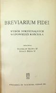 Religia i religioznawstwo - Breviarium fidei Wybór doktrynalnych wypowiedzi Kościoła - miniaturka - grafika 1