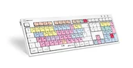 Klawiatury - Logickeyboard LKB-PT-CWMU-FR klawiatura Biuro USB AZERTY Francuski Wielobarwny LKB-PT-CWMU-FR - miniaturka - grafika 1