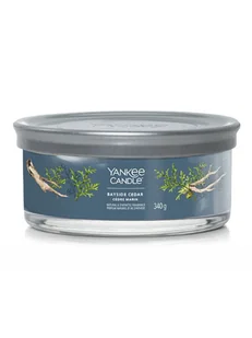 Yankee Candle Świeca zapachowa "Bayside Cedar" - 340 g - Świece - miniaturka - grafika 1