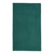 Ręczniki - Zielony bawełniany ręcznik szybkoschnący 120x70 cm Quick Dry – Catherine Lansfield - miniaturka - grafika 1