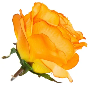 [w04200] Róża główka 9cm morelowo-żółta - Sztuczne kwiaty - miniaturka - grafika 1