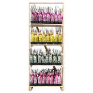 Kwiaty doniczkowe - Róża dzika w balocie wys. 35 cm - miniaturka - grafika 1