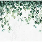 Fototapety - Fototapeta Liście Wiszące Zielony Natura 400x280 cm Tapeta Do Sypialni Salonu Kuchni Na Flizelinie - miniaturka - grafika 1