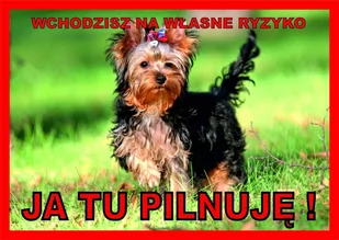 Tabliczka JA TU PILNUJĘ! Laminowana York - Odblaski i adresówki - miniaturka - grafika 1