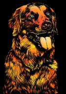 Zabawki kreatywne - Magiczna Zdrapka - Pies 40,5x28,5cm - Yuelu - miniaturka - grafika 1