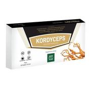 GINSENG Ginseng Poland Kordyceps Ekstrakt Komplex 10x10