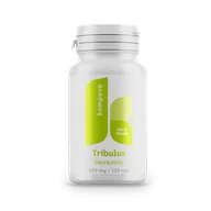 Witaminy i minerały - Tribulus Terrestris 400 mg / 120 kaps - miniaturka - grafika 1