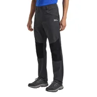 Odzież trekkingowa męska - Męskie spodnie trekkingowe Jack Wolfskin HIKING ALPINE PANTS M Phantom - 46R - miniaturka - grafika 1