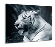 Deski do krojenia - osłona na płytę indukcyjną druk Tygrys biały 60x52, ArtprintCave - miniaturka - grafika 1