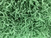 Akcesoria do pakowania - Wypełniacz do paczek zielony jasny - miniaturka - grafika 1