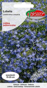 Nasiona Lobelia (Stroiczka) jasnoniebieska 0,2g - Torseed - Nasiona i cebule - miniaturka - grafika 1