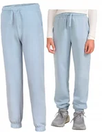 Dresy męskie - 4F OCIEPLANE DZIEWCZÄCE SPODNIE DRESOWE DRESY BAWEĹNA JOGGERY / rozm 134 - miniaturka - grafika 1