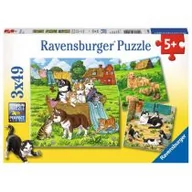 Puzzle - Ravensburger Puzzle 3 x 49 - śliczne kotki i pieski 08002 - miniaturka - grafika 1