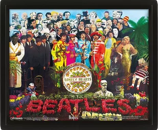 Plakat 3D PYRAMID INTERNATIONAL The Beatles Sgt. Pepper - Plakaty - miniaturka - grafika 1