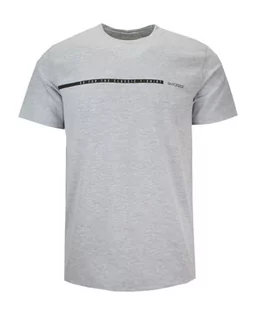 T-shirt Męski Szary z Napisami, z Nadrukiem, Bawełniany, Krótki Rękaw -QUICKSIDE - Quickside - Koszulki męskie - miniaturka - grafika 1