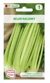 Nasiona i cebule - Legutko Seler naciowy GOLDGELBER 2 - miniaturka - grafika 1