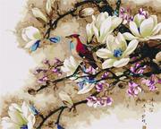 Malowanie po numerach - Artnapi 40x50cm Zestaw Do Malowania Po Numerach - Śpiewający Ptak Egzotyczny Malowanie Po Numerach - Na Drewnianej Ramie - miniaturka - grafika 1