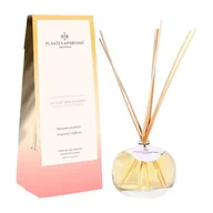 Aromaterapia - Dyfuzor zapachowy kolekcja Słoneczna Prowansja - Serce Łąki - 100ml - miniaturka - grafika 1