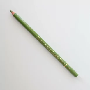 Kredka HOLBEIN Artists Olive Green OP189 - Kredki, ołówki, pastele i pisaki - miniaturka - grafika 1