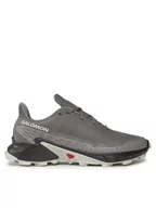 Buty sportowe męskie - Salomon Buty Alphacross 5 473133 29 W0 Szary - miniaturka - grafika 1