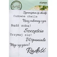 Szkolne artykuły papiernicze - STEMPEL POLIMEROWY Zestaw napisów pozytywnych - Agateria - miniaturka - grafika 1