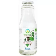 Soki i napoje niegazowane - BIO FOOD SOK Z BRZOZY BIO 1 L - miniaturka - grafika 1