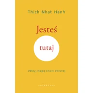 Pozostałe książki - JESTEŚ TUTAJ. ODKRYJ MAGIĘ CHWILI OBECNEJ - miniaturka - grafika 1