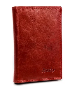 Rewelacyjne skórzane etui na karty Rovicky® RFID - Etui na dokumenty i karty - miniaturka - grafika 1