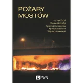 Nauka - Pożary Mostów Henryk Zobel,thakaa Al-Khafaji,agnieszka Golubińska - miniaturka - grafika 1