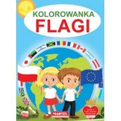 Kolorowanki, wyklejanki - Kolorowanka Flagi Nowa - miniaturka - grafika 1