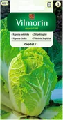 Nasiona i cebule - Kapusta pekińska Capitol F1 nasiona 0,5g Vilmorin - miniaturka - grafika 1