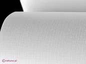 Dekoratorstwo - [ MC.15-16 ] Papier Aster 250g Kratka biały - 100A4 / al *  Papier Aster 250g Kratka biały pak. 100A4 - miniaturka - grafika 1